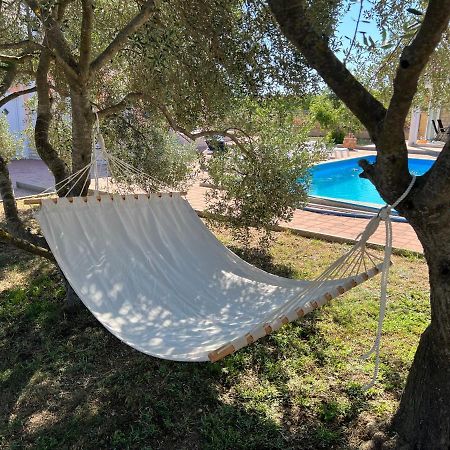 Villa Paludo Novigrad  Екстер'єр фото