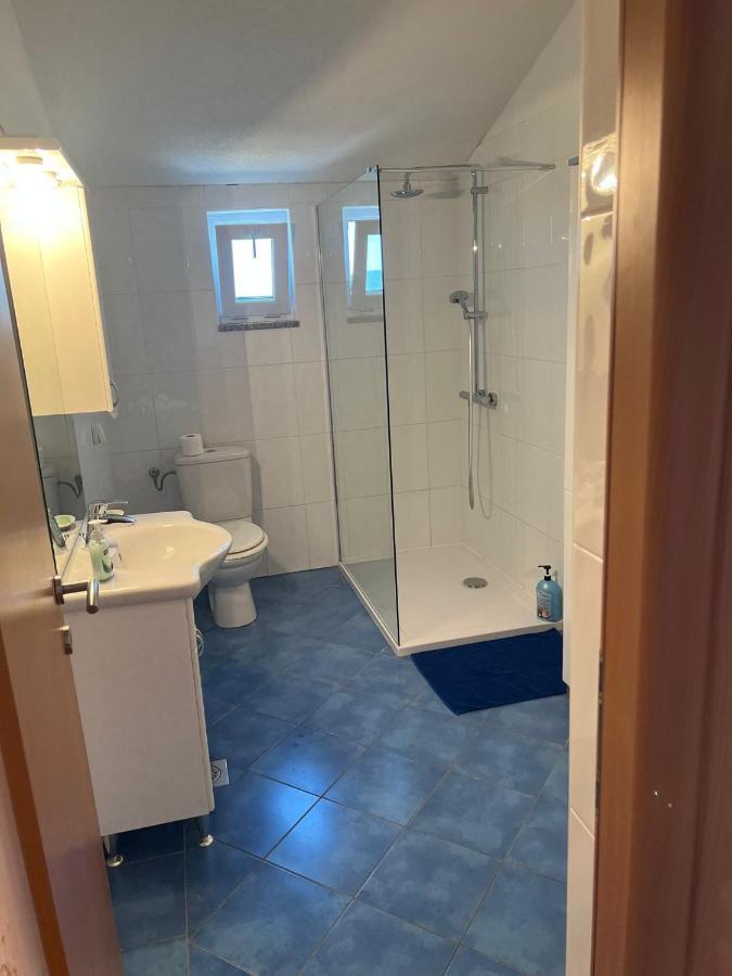 Villa Paludo Novigrad  Екстер'єр фото