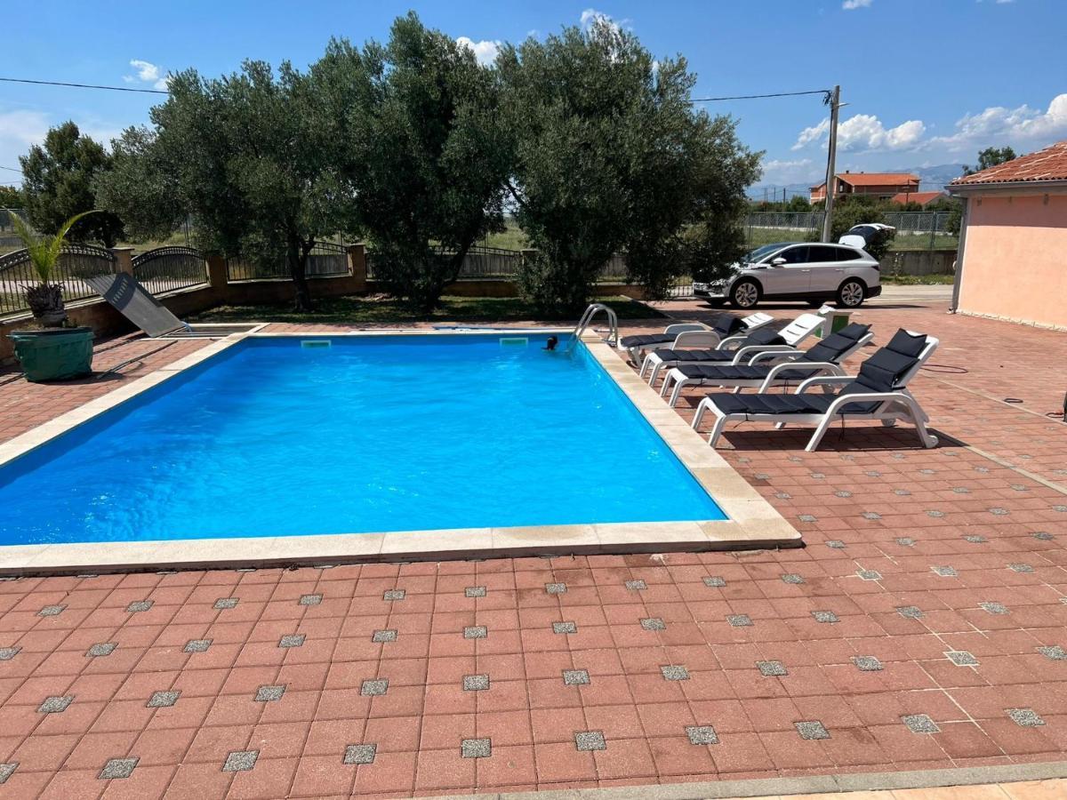 Villa Paludo Novigrad  Екстер'єр фото