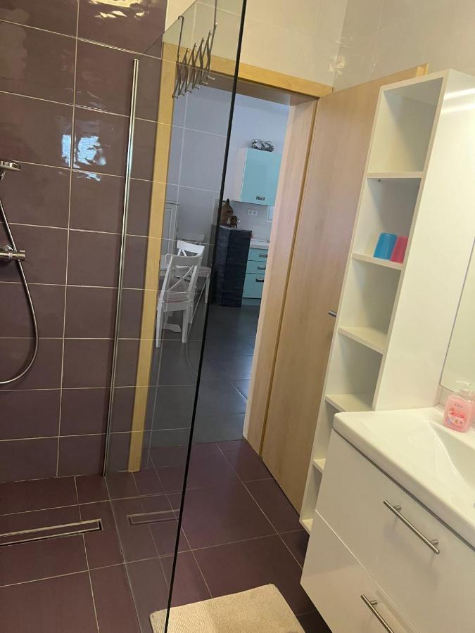Villa Paludo Novigrad  Екстер'єр фото